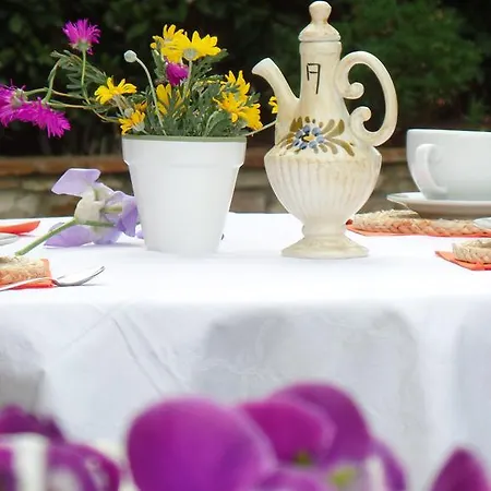 Il Fienile Holiday Holiday home Le Fornacette